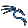 Kali Linux Training Skills